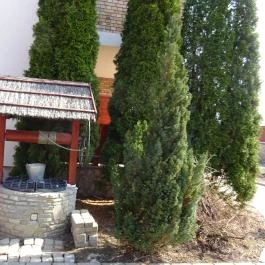 Magita Hotel, Erdőbénye - Külső kép