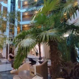 MenDan Magic Spa & Wellness Hotel, Zalakaros - Belső