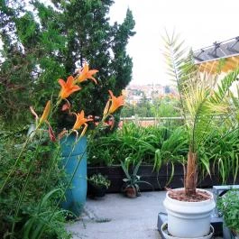 Pannonia Hotel Sopron - Medence/kert