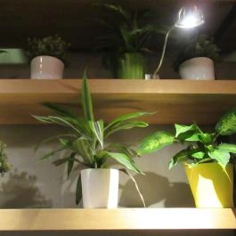 Casati Budapest Hotel Budapest - Egyéb