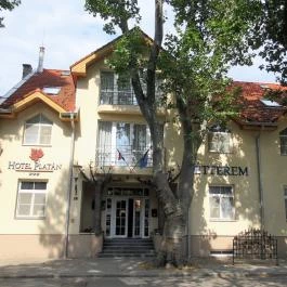 Hotel Platán Székesfehérvár, Székesfehérvár - Egyéb