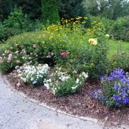 Hotel Szarvaskút Zirc - Környék