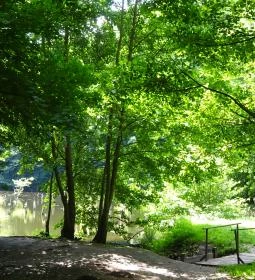 Hubertlaki Kulcsosház