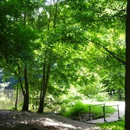 Hubertlaki Kulcsosház Ugod - Környék