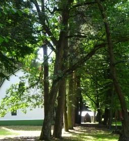 Hubertlaki Kulcsosház