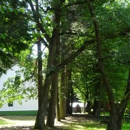 Hubertlaki Kulcsosház Ugod - Külső kép