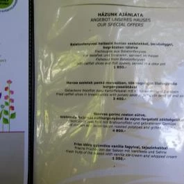 Hubertus-Hof Szálloda étterme Balatonfenyves - Étlap/itallap