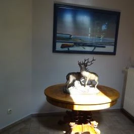 Hubertus-Hof Szálloda étterme Balatonfenyves - Belső