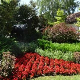 Hubertus-Hof Szálloda Balatonfenyves - Környék