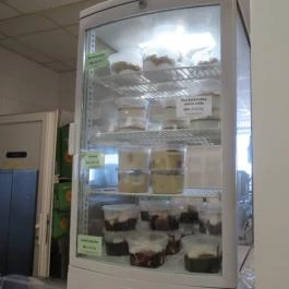 Hungarospa Aqua-Palace Önkiszolgáló Étterem Hajdúszoboszló - Egyéb