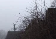 I. Géza király szobra Vác