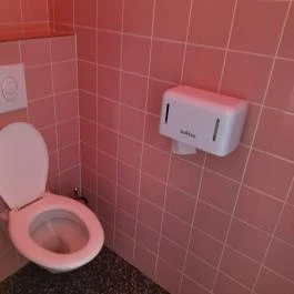 Ichigo Budapest - Mosdó