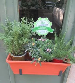 Ide Süss Manufaktúra