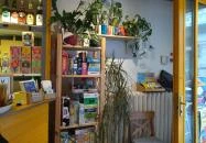 Ignác, a nyúl Budapest