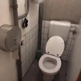Ignác, a nyúl Budapest - Mosdó