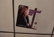 Ignác, a nyúl Budapest