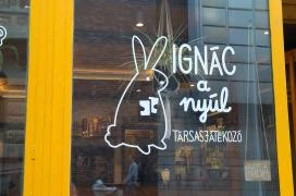 Ignác, a nyúl Budapest