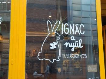 Ignác, a nyúl Budapest
