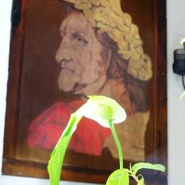 Il Terzo Cerchio Étterem & Pizzéria Budapest - Egyéb