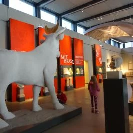 Iseum Savariense Régészeti Műhely és Tárház Szombathely - Egyéb