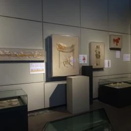 Iseum Savariense Régészeti Műhely és Tárház Szombathely - Egyéb