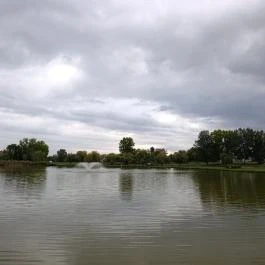 Iskola-tó Lajosmizse - Egyéb