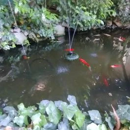 István Tanya Vendéglő Budapest - Egyéb