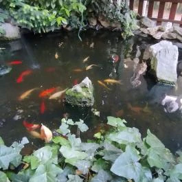 István Tanya Vendéglő Budapest - Egyéb