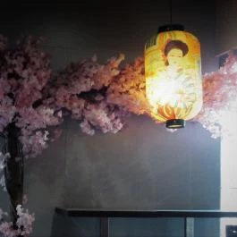 Itoshii Japán Étterem, Budapest - Egyéb