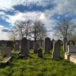 Jángori ortodox zsidó temető Makó - Egyéb