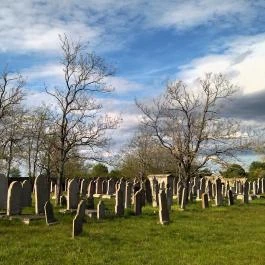 Jángori ortodox zsidó temető Makó - Egyéb