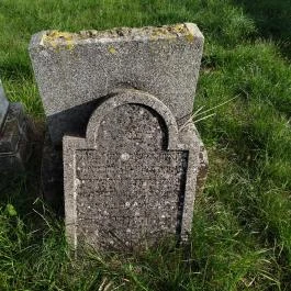 Jángori ortodox zsidó temető Makó - Egyéb