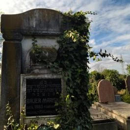 Jángori ortodox zsidó temető Makó - Egyéb