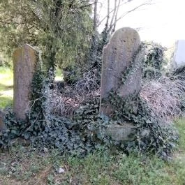 Jángori ortodox zsidó temető Makó - Egyéb