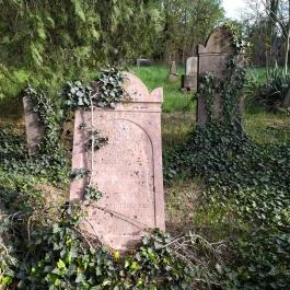 Jángori ortodox zsidó temető Makó - Egyéb