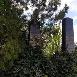 Jángori ortodox zsidó temető Makó - Egyéb