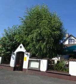 János Pince Étterem