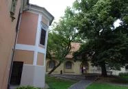 Janus Pannonius Múzeum Pécs