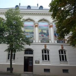 Janus Pannonius Múzeum - Csontváry Múzeum Pécs - Egyéb