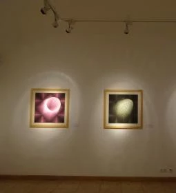 Janus Pannonius Múzeum - Victor Vasarely Múzeum