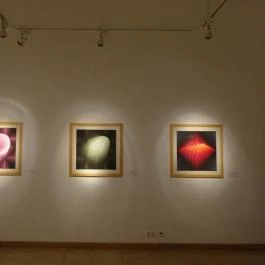 Janus Pannonius Múzeum - Victor Vasarely Múzeum Pécs - Egyéb