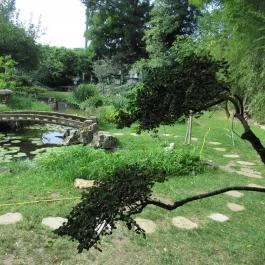 Zuglói Japánkert Budapest - Egyéb