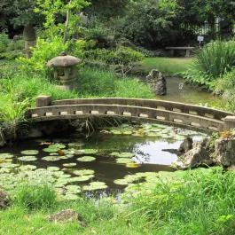 Zuglói Japánkert Budapest - Egyéb