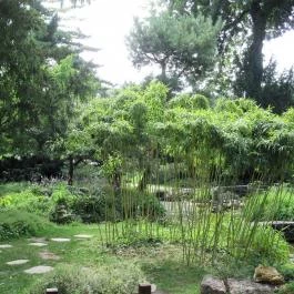 Zuglói Japánkert Budapest - Egyéb