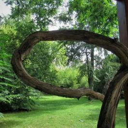 Zuglói Japánkert Budapest - Egyéb