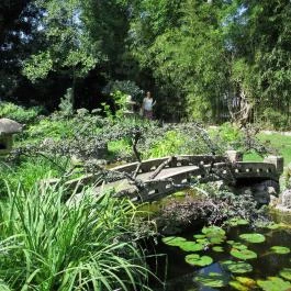 Zuglói Japánkert Budapest - Egyéb