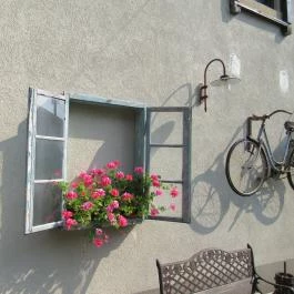 Jardinette Kertvendéglő Budapest - Egyéb