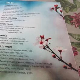 Jardinette Kertvendéglő Budapest - Egyéb