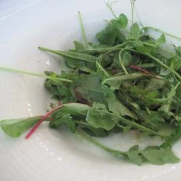 Jardinette Kertvendéglő Budapest - Egyéb