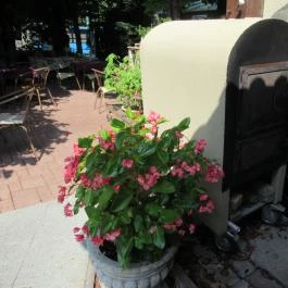 Jardinette Kertvendéglő Budapest - Egyéb